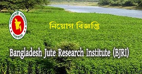 Bangladesh Jute Research Institute Bjri Job Circular 2021 Bd Jobcircular 1 3044